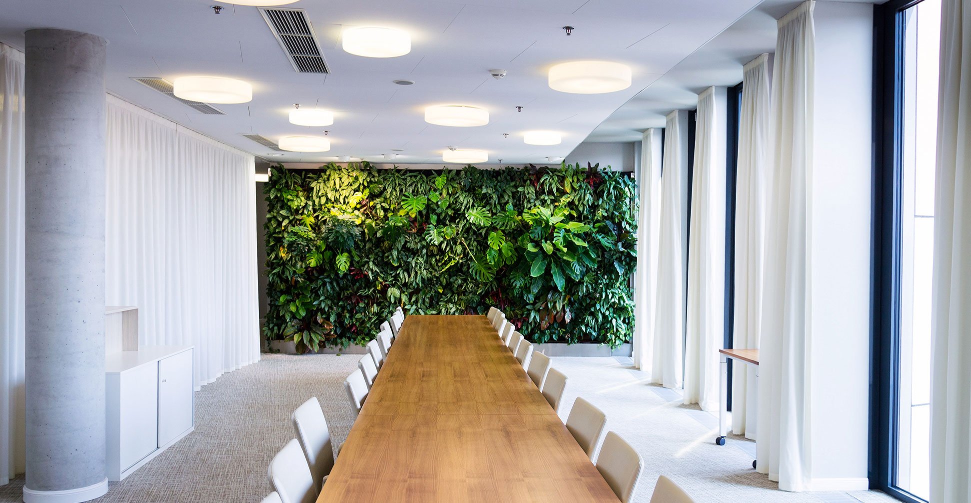 Zella DC | Office | Meeting Room | Plants