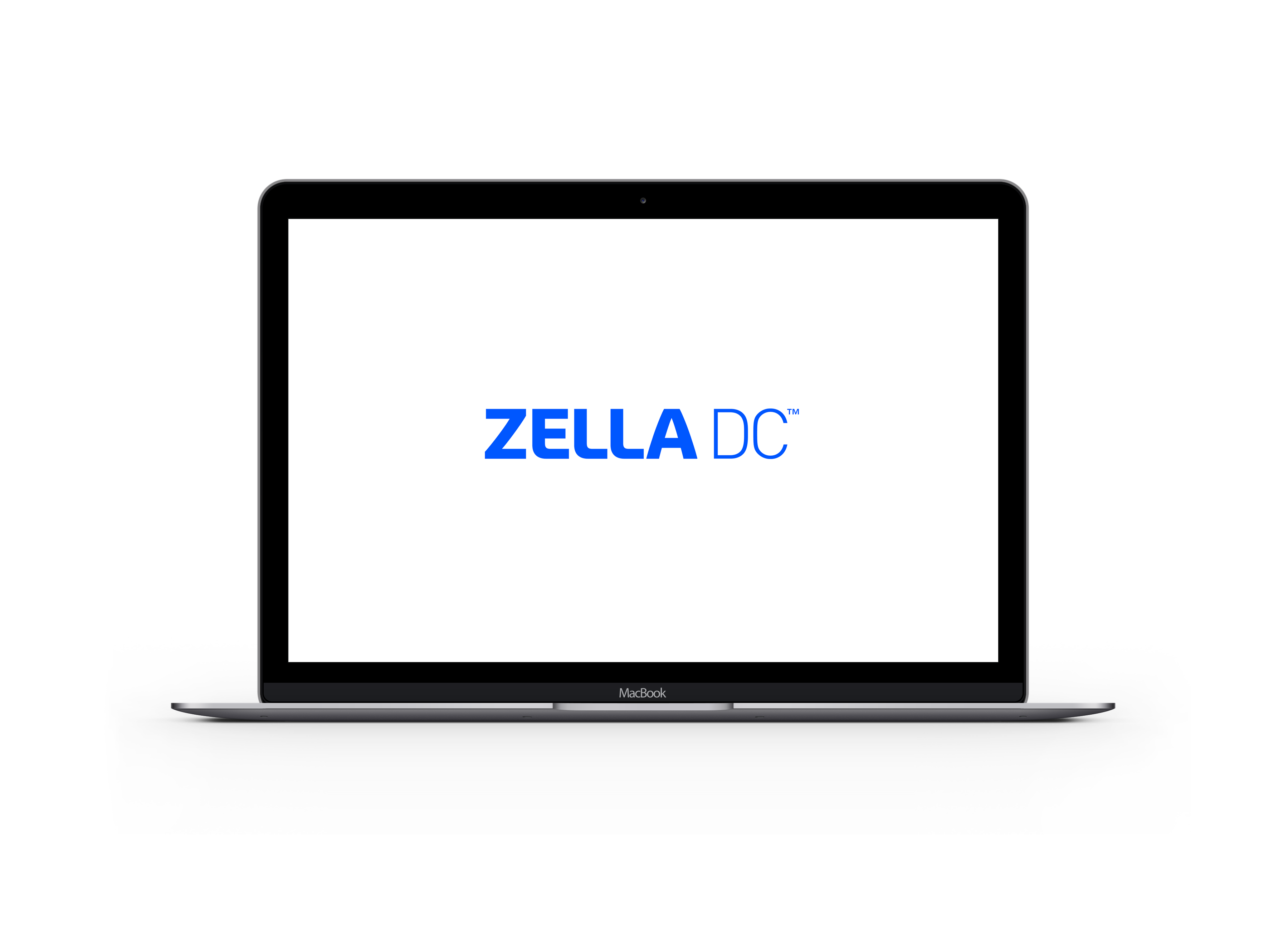 Style Guide & Logos | Zella DC