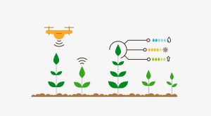 Smart Farming